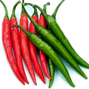 Chilli Crop