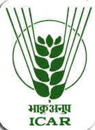 ICAR లోగో